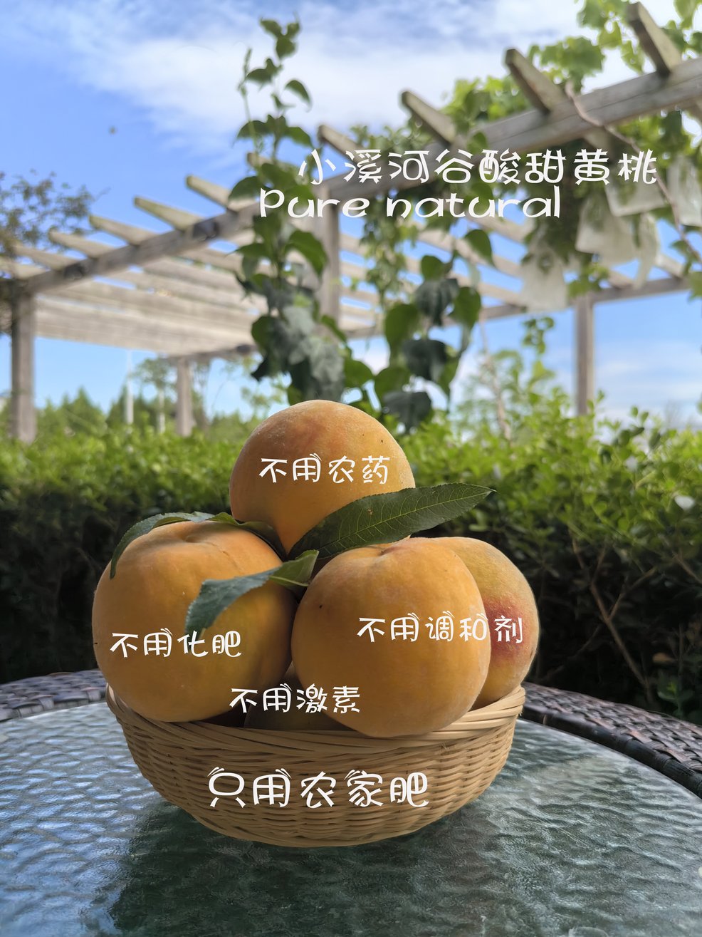 散养麻黄鸡蛋