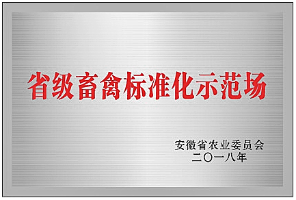 资质证书
